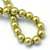 Baking Paint Pearlized Glass Pearl Round Bead Strands LS-HY-Q003-10mm-43-4