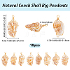 10Pcs Natural Conch Shell Big Pendants FIND-BBC0003-11-2