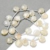 Natural Rainbow Moonstone Beads Strands G-P544-C04-01-2