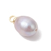 Natural Cultured Freshwater Pearl Rice Charms PALLOY-JF05078-01-4