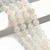 Natural White Moonstone Beads Strands G-D294-8mm-5