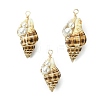 Natural Scallop Shell & Round Shell Pearl Pendants PALLOY-TA00197-02-1