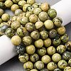 Natural Verdite Stone Beads Strands G-C242-03-10mm-1