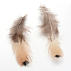 Chicken Feather Costume Accessories X-FIND-R038-10-1
