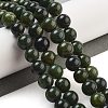 Natural Canadian Jade Beads Strands G-NH0029-01B-2