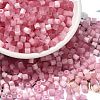 Glass Seed Beads X1-SEED-H002-D-A808-1