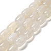 Natural Agate Beads Strands G-D317-A01-09-2