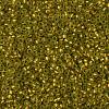 TOHO Round Seed Beads SEED-JPTR11-0996FM-2