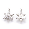 Brass Micro Pave Cubic Zirconia Pendants LS-KK-F774-10P-NR-2