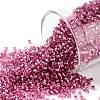 TOHO Round Seed Beads SEED-JPTR15-2218-1