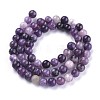Natural Lepidolite/Purple Mica Stone Beads Strands X-G-K415-6mm-3