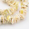 Natural Shell Bead Strands BSHE-P010-02-3