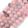 Natural Plum Blossom Jasper Beads Strands X-G-Q462-63-10mm-1