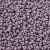 MIYUKI Round Rocailles Beads X-SEED-G007-RR0410F-3
