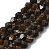 Natural Bronzite Beads Strands G-Z119-A30-02-3
