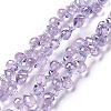 Transparent Glass Beads Strands GLAA-H022-04B-1