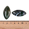 Natural Brazilian Agate Cabochons G-S295-02-3
