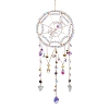 Spider Web & Spider Glass Beads Suncatchers HJEW-F027-15-1