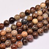 Natural Petrified Wood Round Bead Strands G-F266-08-8mm-1