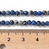 Dyed Natural Regalite/Imperial Jasper/Sea Sediment Jasper Beads Strands G-B124-C05-01-2