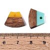 Opaque & Transparent Resin & Walnut Wood Pendants RESI-N053-34-4