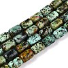 Natural African Turquoise(Jasper) Beads Strands G-G980-33A-1