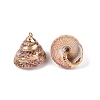 Natural Sea Shell Pendants SSHEL-N038-58B-2