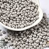 Baking Paint Glass Seed Beads X1-SEED-B001-02A-04-1
