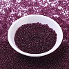 MIYUKI Round Rocailles Beads SEED-G007-RR1312-2