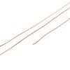 10M 304 Stainless Steel Wire TWIR-N005-0.3mm-RG-2