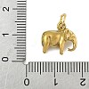 304 Stainless Steel Charms STAS-P391-01C-G-3