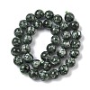 Natural Seraphinite Beads Strands G-C270-O01-11-3