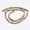 Natural Picture Jasper Beads Strands G-K255-05-2