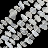 Natural White Moonstone Beads Strands G-L657-E02-01-2