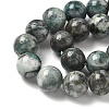 Natural Dioptase Beads Strands G-D302-02-10mm-4