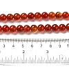 Natural Carnelian Beads Strands X-G-G390-8mm-03-2