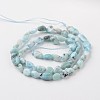 Natural Larimar Bead Strands G-M347-11-2