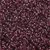 Transparent Colours Picasso Glass Round Seed Beads SEED-B001-06A-01-3