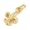 Brass Pendants KK-L231-09G-2