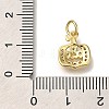 Rack Plating Brass Micro Pave Cubic Zirconia Charms KK-I720-13G-3
