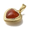 Natural Carnelian(Dyed & Heated) Heart Charms KK-K388-02G-2