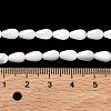 Natural White Shell Beads Strands SH-CBAF49A-03-2