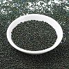 MIYUKI Round Rocailles Beads SEED-G007-RR0453-2