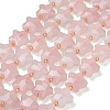 Natural Rose Quartz Beads Strands G-L657-A06-01-2