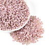 6/0 Glass Seed Beads SEED-N008-07I-1
