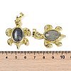 Natural Labradorite & Brass Pendants KK-F887-01G-05-3