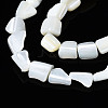 Natural Trochid Shell/Trochus Shell Beads Strands SSHEL-S266-006-3