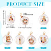 5Pcs 5 Styles Natural Cultured Freshwater Pearl Pendants PEAR-TA0001-30-4