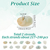 ARRICRAFT 2 Strands Natural Flower Amazonite Chip Beads Strands G-AR0005-87-2