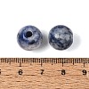Natural Blue Spot Jasper Beads G-Q602-08C-17-3